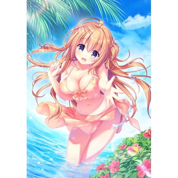 ゲーム: シロガネ×スピリッツ！ 完全生産限定版 【PSV