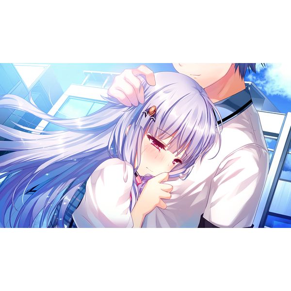 ゲーム: シロガネ×スピリッツ！ 完全生産限定版 【PSV
