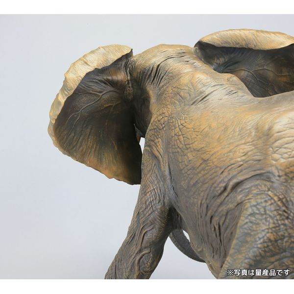 フィギュア: メガソフビアドバンス MSA-007 アフリカゾウ 【2016年3月