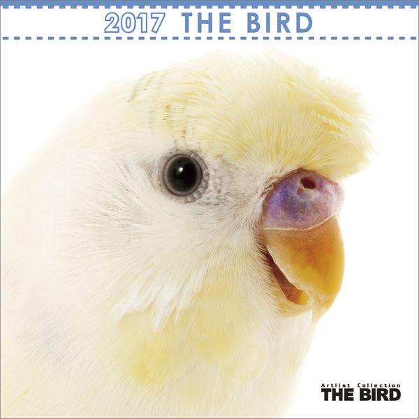 (~j)THE BIRD 2017NJ_[ [CL-1160]