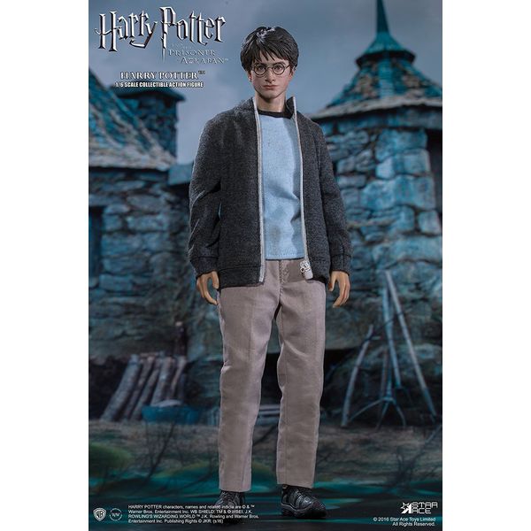 マイフェイバリットムービー シリーズ 1/6 ハリー・ポッター ティーンエイジ版 マイ フェイバリット ムービー シリーズ 1/6 ハリー・ポッター