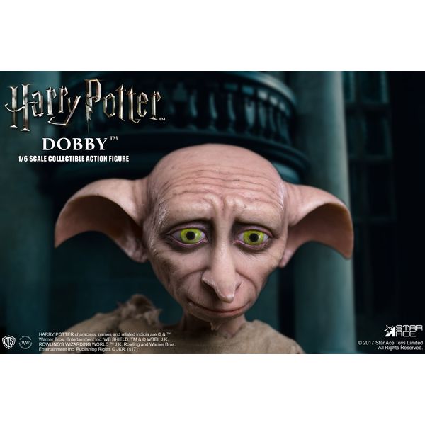 フィギュア: ハリー・ポッターと秘密の部屋 （Harry Potter and the