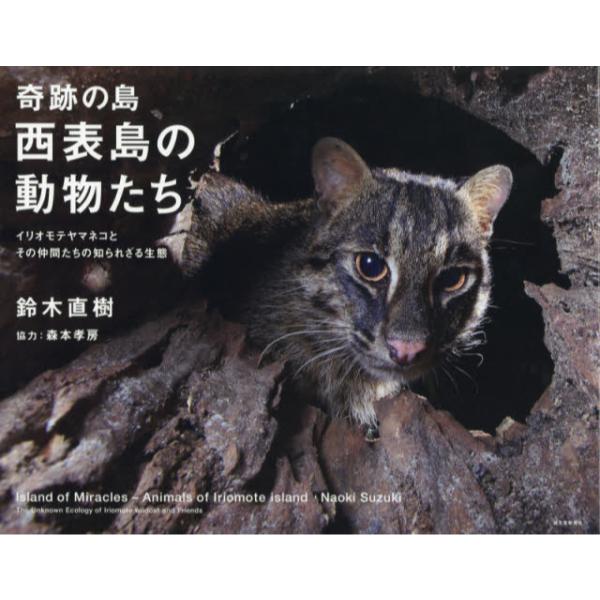 書籍: 奇跡の島・西表島の動物たち イリオモテヤマネコとその仲間たちの知られざる生態: 誠文堂新光社｜キャラアニ.com