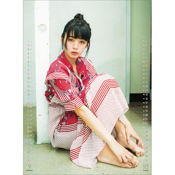 レア 新品未開封 池田エライザ 2017カレンダー 女優 レア 新品未開封 池田エライザ 2017カレンダー 女優