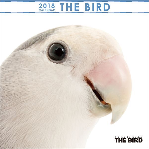 i~jjTHE BIRD 2018N J_[ [CL-1160]