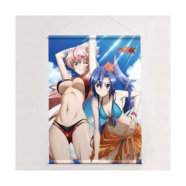 グッズ: 戦姫絶唱シンフォギアGX B2タペストリー 翼＆マリア