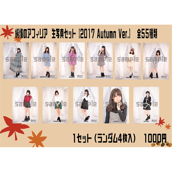 ̃AtBA ʐ^Zbg(2017 Autumn Ver.)