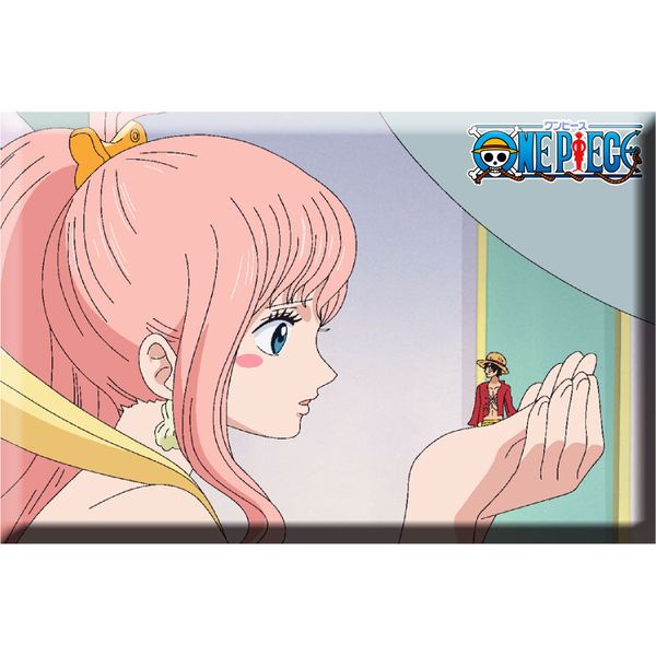 α1 ワンピース ミュシャ風 しらほし姫 スリーブ&プレイマット α1