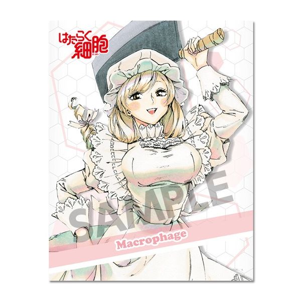 グッズ: はたらく細胞 マルチクロス マクロファージ 【2020年3月出荷