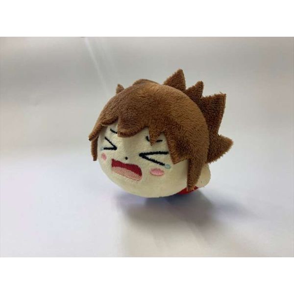 グッズ: 家庭教師ヒットマンREBORN! 怪物づかいツナ ツナ