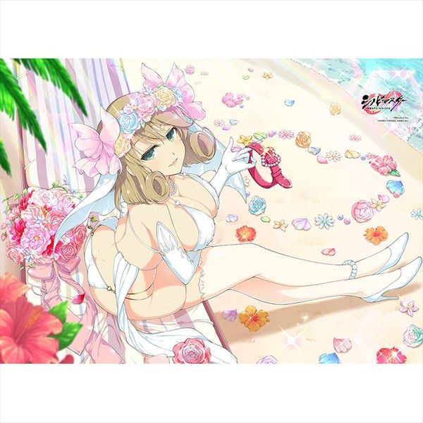 グッズ: シノビマスター 閃乱カグラ NEW LINK B2タペストリー