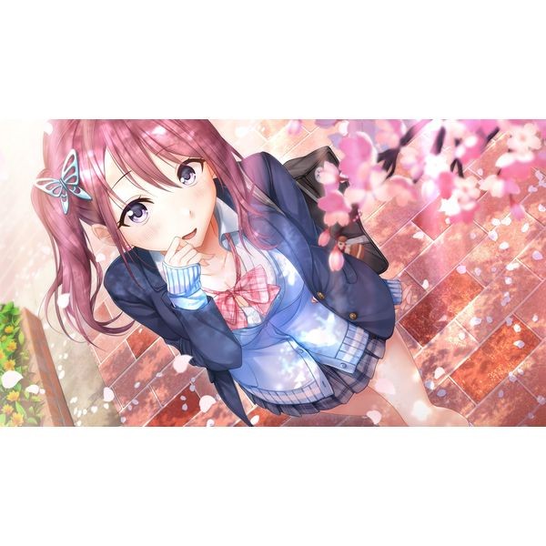 ゲーム: アイキス2 【Switchソフト】: エンターグラム