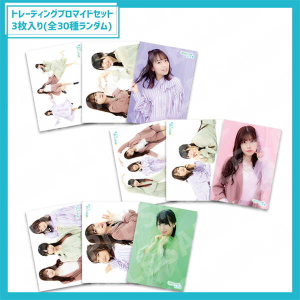 #�{�C�X�c�[���X�g��a�؁@ �g���[�f�B���O�u���}�C�h�Z�b�g