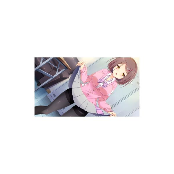 ゲーム: 恋愛、借りちゃいました 【完全生産限定版】 【Switchソフト