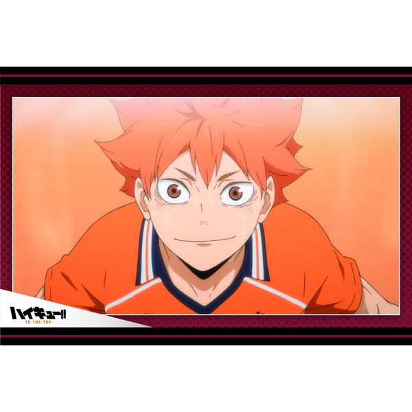 ☆1点限り☆ ムービック Movic ハイキュー！！アニメ 個入りBOX 429 51yky1uE4RL.jpg_BO30,255,255,