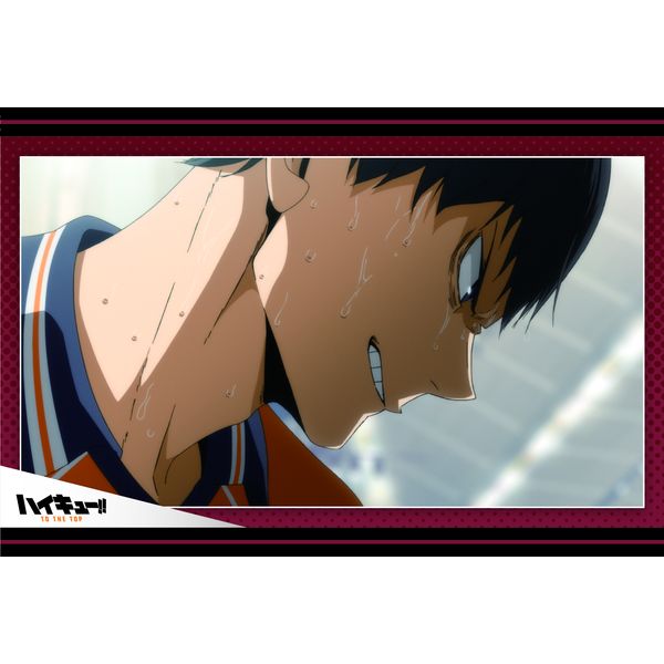 ☆1点限り☆ ムービック Movic ハイキュー！！アニメ 個入りBOX 429 51yky1uE4RL.jpg_BO30,255,255,