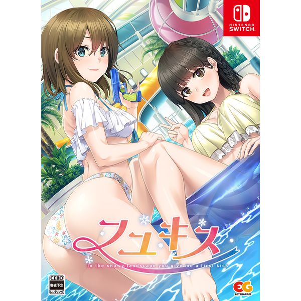 数量は多い  ゲーム: フユキス 【完全生産限定版】 【Switchソフト Nintendo Switch