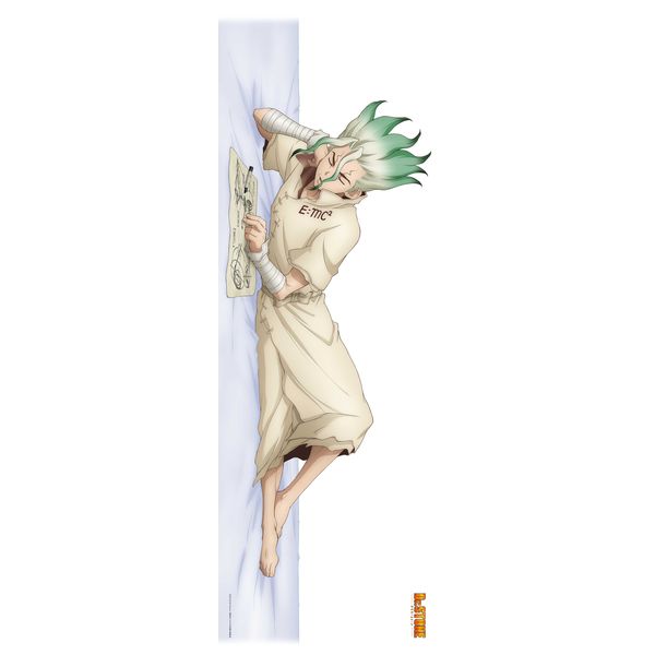 グッズ: Dr．STONE 描き下ろし 2WAYトリコット抱き枕カバー 石神千空 【2022年3月出荷予定分】: 松本商事｜キャラアニ.com