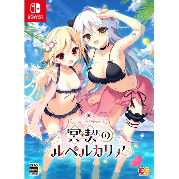 メイケイのルペルカリア Nintendo Switch ゲーム: 冥契のルペルカリア 【完全生産限定版】 【Switchソフト