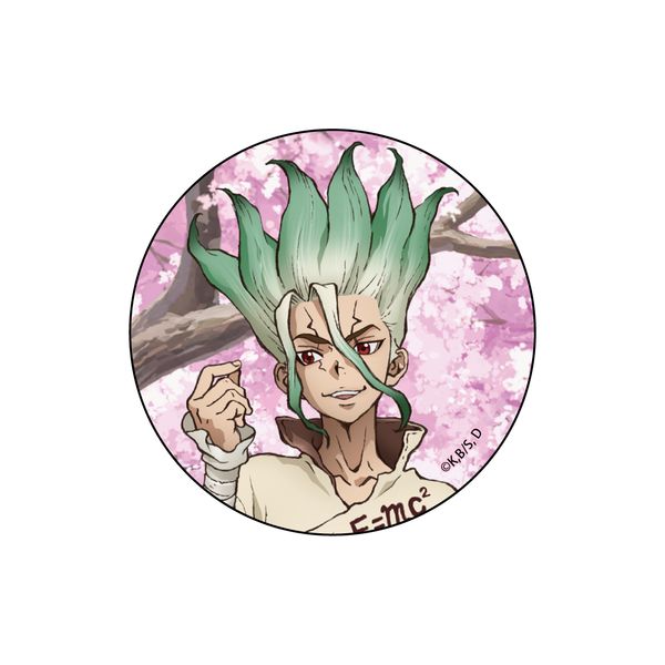 レア Dr.STONE ドクスト 描き下ろし 缶バッジ 缶バッチ 桜 石神千空 アパレル: Dr.STONE 描き下ろし 缶バッジ 石神千空 桜: 松本商事