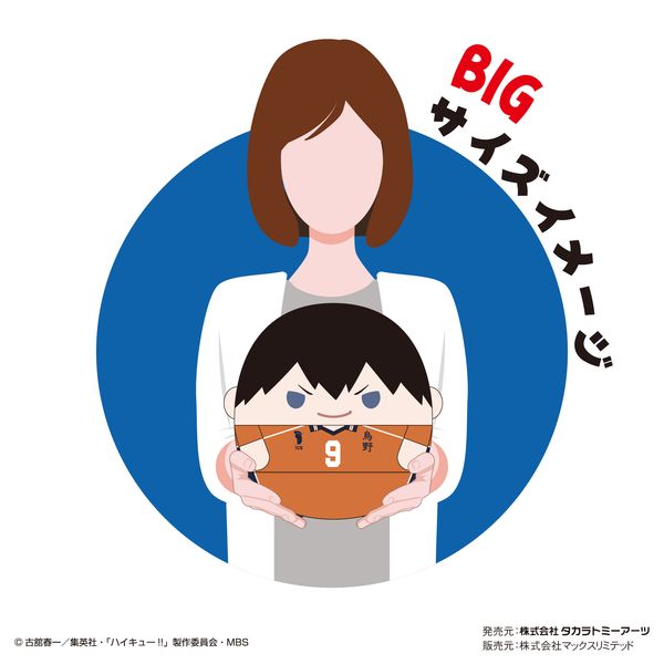 グッズ: ハイキュー!! ふわコロりんBIG6 C 及川徹: タカラトミーアーツ