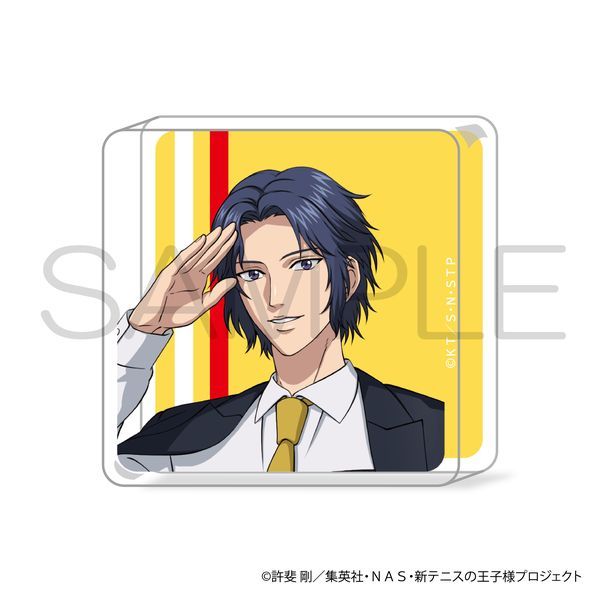 �V�e�j�X�̉��q�l mini�A�N�����u���b�N �p�C���b�gver. �K�����s �y��2,000�~�ȏ���T�Ώہz