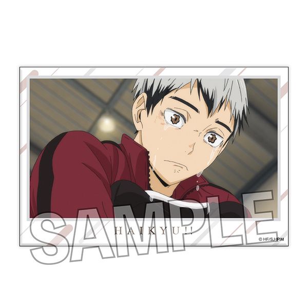 ハイキュー 28巻 無料 ハイキュー28〜.34巻 ぐらんぶる6〜10巻