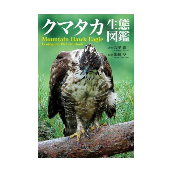 書籍: クマタカ生態図鑑 Field Guide: 平凡社｜キャラアニ.com