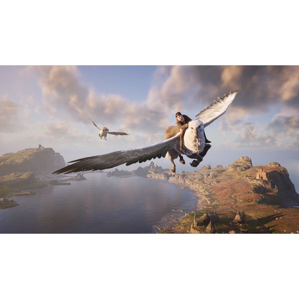 Switch ホグワーツ・レガシー デラックス・エディション 限定版 cg10461856_600x600_crop_center