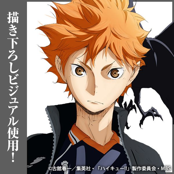 グッズ: ハイキュー!! 日向翔陽 アクリルスタンド（大）Ver.1.0