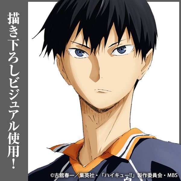 グッズ: ハイキュー!! 影山飛雄 アクリルスタンド（大）Ver.1.0