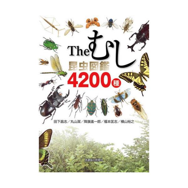 Theނ}4200