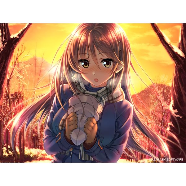 ゲーム: アマカノ ～Second Season～ 【Switchソフト】: アレス