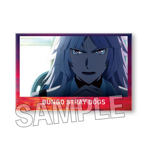 �����X�g���C�h�b�O�X �ςݐς݃u���b�N �� 19 �y�Ĕ́z