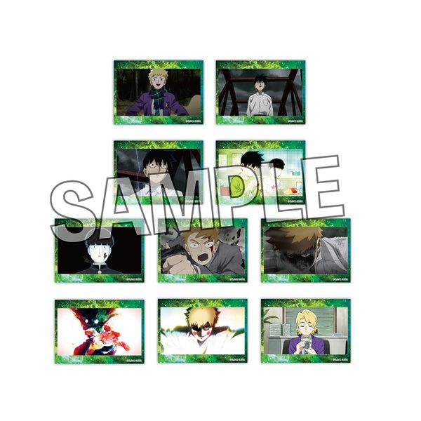 ���u�T�C�R100 �z���X�e�b�J�[ �R���N�V���� BOX2 �y1BOX�z