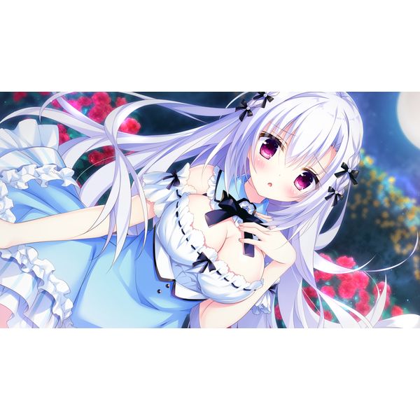 square - PS4ソフトけもの道☆ガーリッシュスクエア(KEMONOMICHI GIRLISH SQUARE) 通常版 エンターグラム PS4/Switch 『けもの道☆ガーリッシュスクエア』 公式サイト