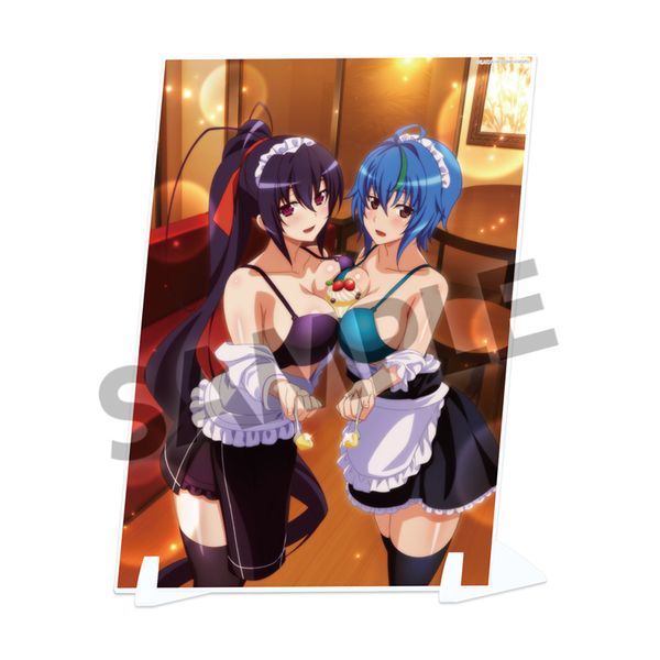 �n�C�X�N�[��D×D HERO �r�W���A���A�N�����v���[�g vol.3 ��T���[�m���B�A �����E�F�C�^�[ ver.