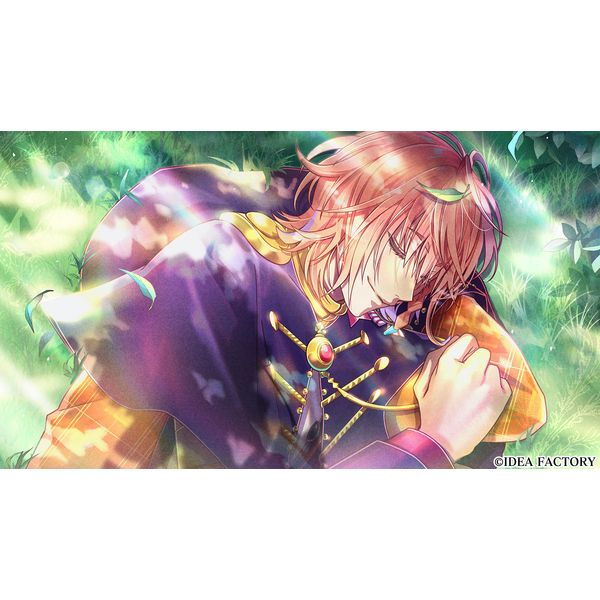 ゲーム: 【メーカー特典付き】 ミストニアの翅望 -The Lost
