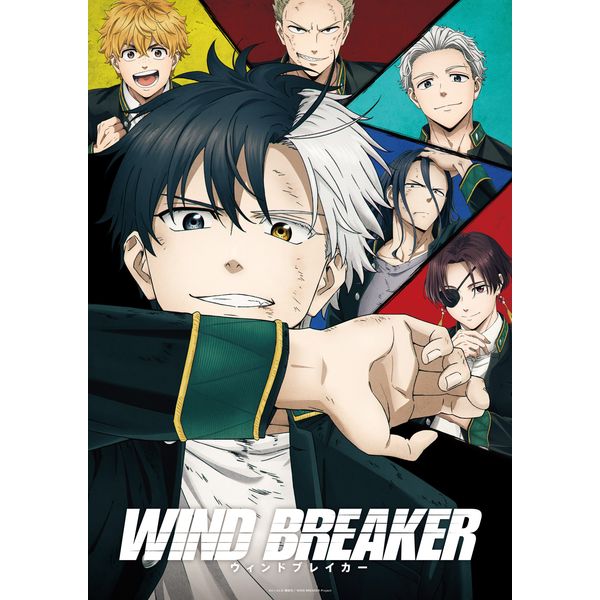 WIND BREAKER 5 【完全生産限定版】 【DVD】