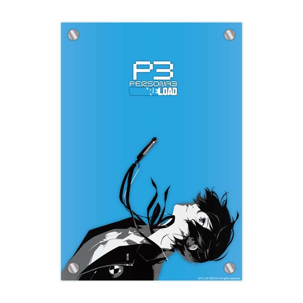 P3R ANv[g