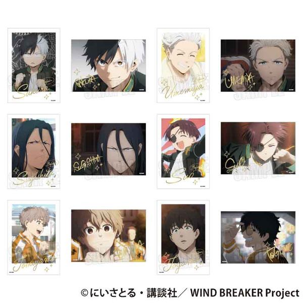 WIND BREAKER トレーディング箔押しブロマイド 【12個セット】