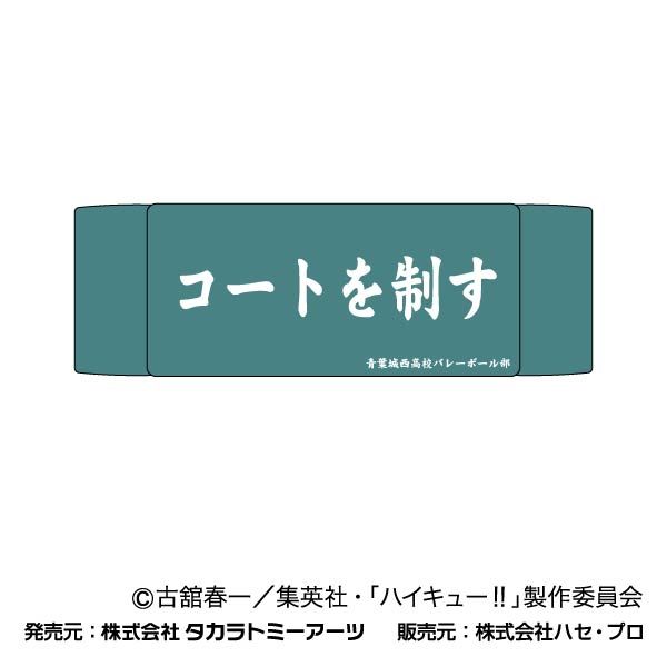 ハイキュー!! ヘアバンド 02 青葉城西高校