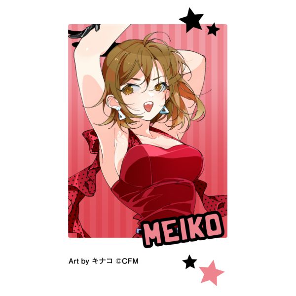 ~NV[Y `FLtB MEIKO