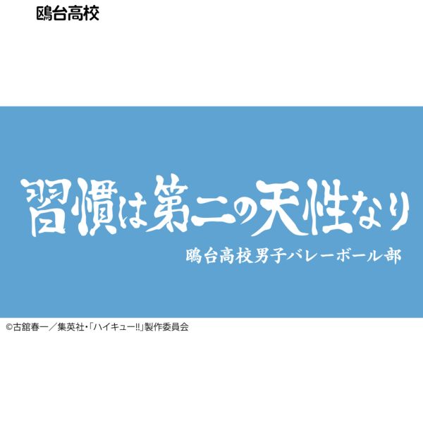 ハイキュー!! 横断幕バスタオル 鴎台高校