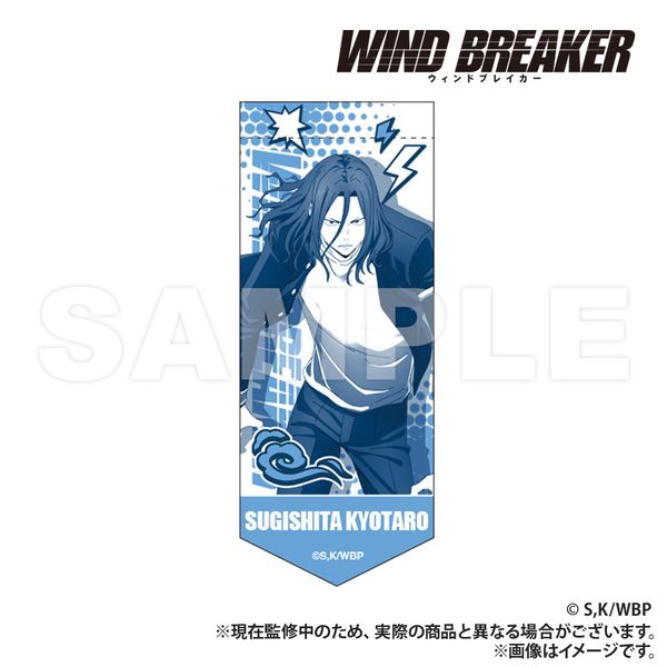 WIND BREAKER ミニガーランドキーホルダー 杉下