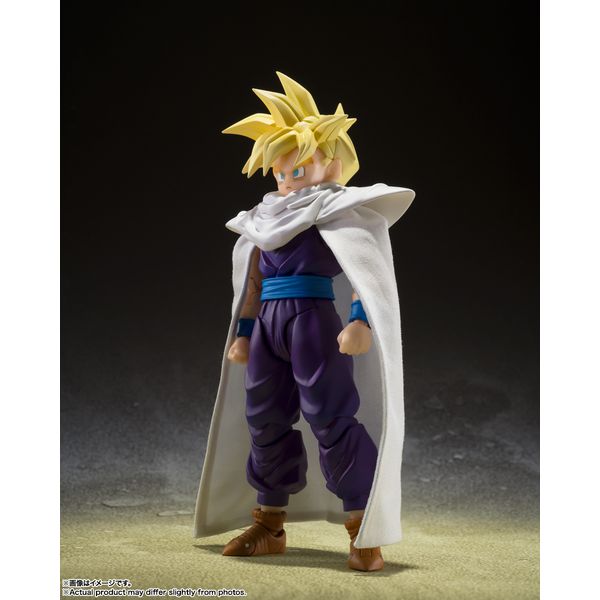hS{[Z S.H.Figuarts X[p[TCl-𒴂m-