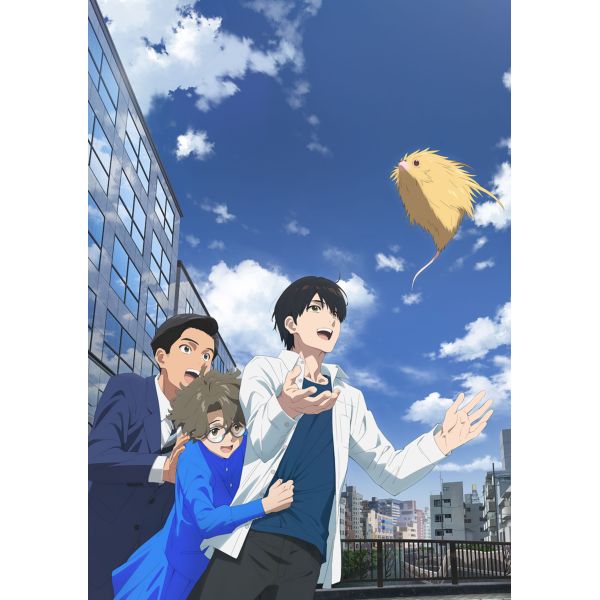 �ӂ��B �y���S���Y����Łz �yDVD�z