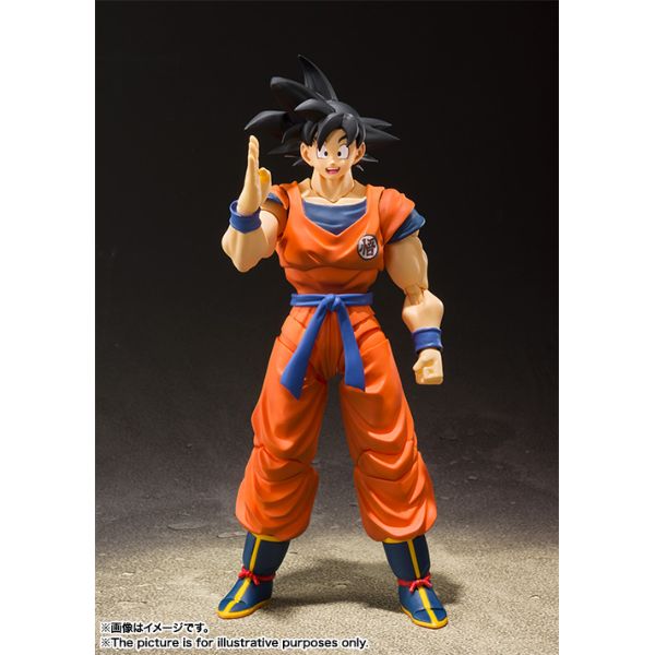 �h���S���{�[��Z S.H.Figuarts �����-�n���炿�̃T�C���l-