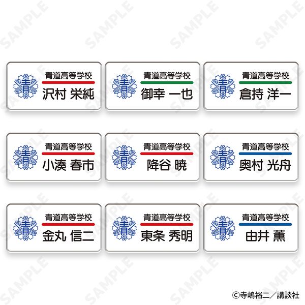 �yBOX�w�����T�t���z �_�C����A actII Seido High School Baseball Club �g���[�f�B���O�l�[���o�b�W �y1BOX�z