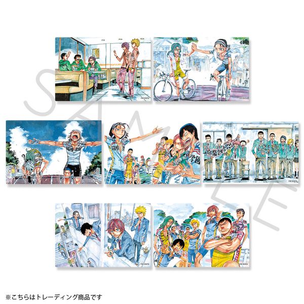 �㒎�y�_�� SPARE BIKE �N���A�J�[�h�X�e�b�J�[ �y1BOX�z